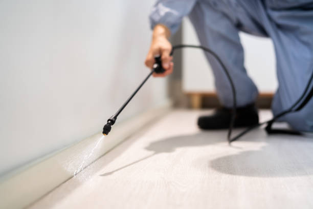 Bed Bug Pre-Treatment Preparation Assessment in Pleak