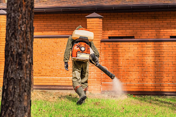 Bed Bug Clearance Verification and Documentation in Pleak